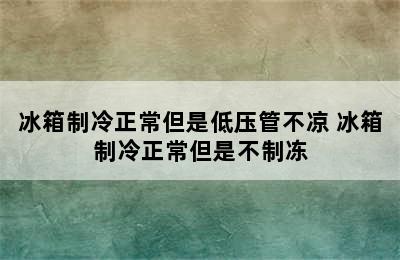 冰箱制冷正常但是低压管不凉 冰箱制冷正常但是不制冻